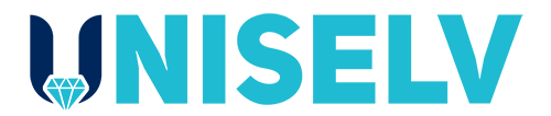 Uniselv SMM Panel