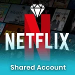 Netflix Subscription (Shared)